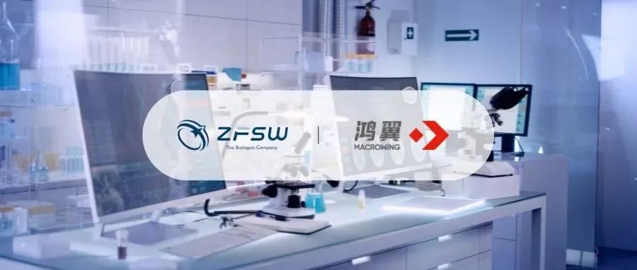 DMS&TMS管理系統上線 智飛龍科馬數字化更進一步