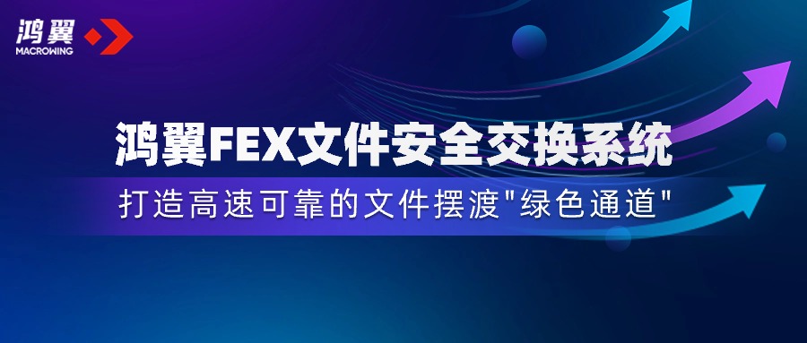 鴻翼FEX文件安全交換系統，打造安全高效的文件擺渡“綠色通道”