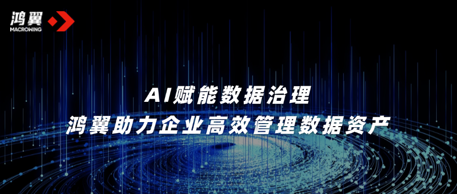 AI賦能數據治理，鴻翼助力企業高效管理數據資產